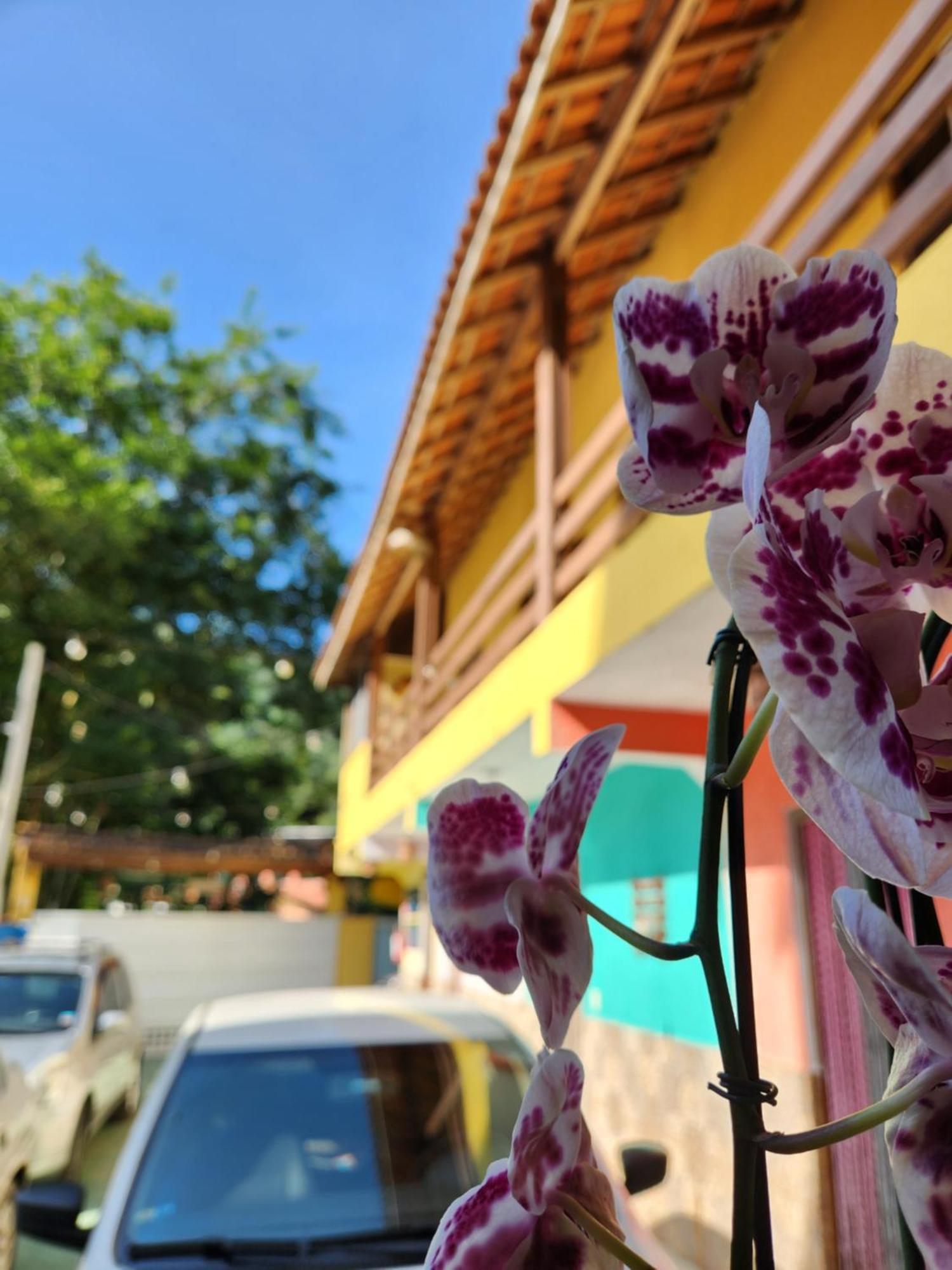 Pousada Morena Raiz Ubatuba Eksteriør billede